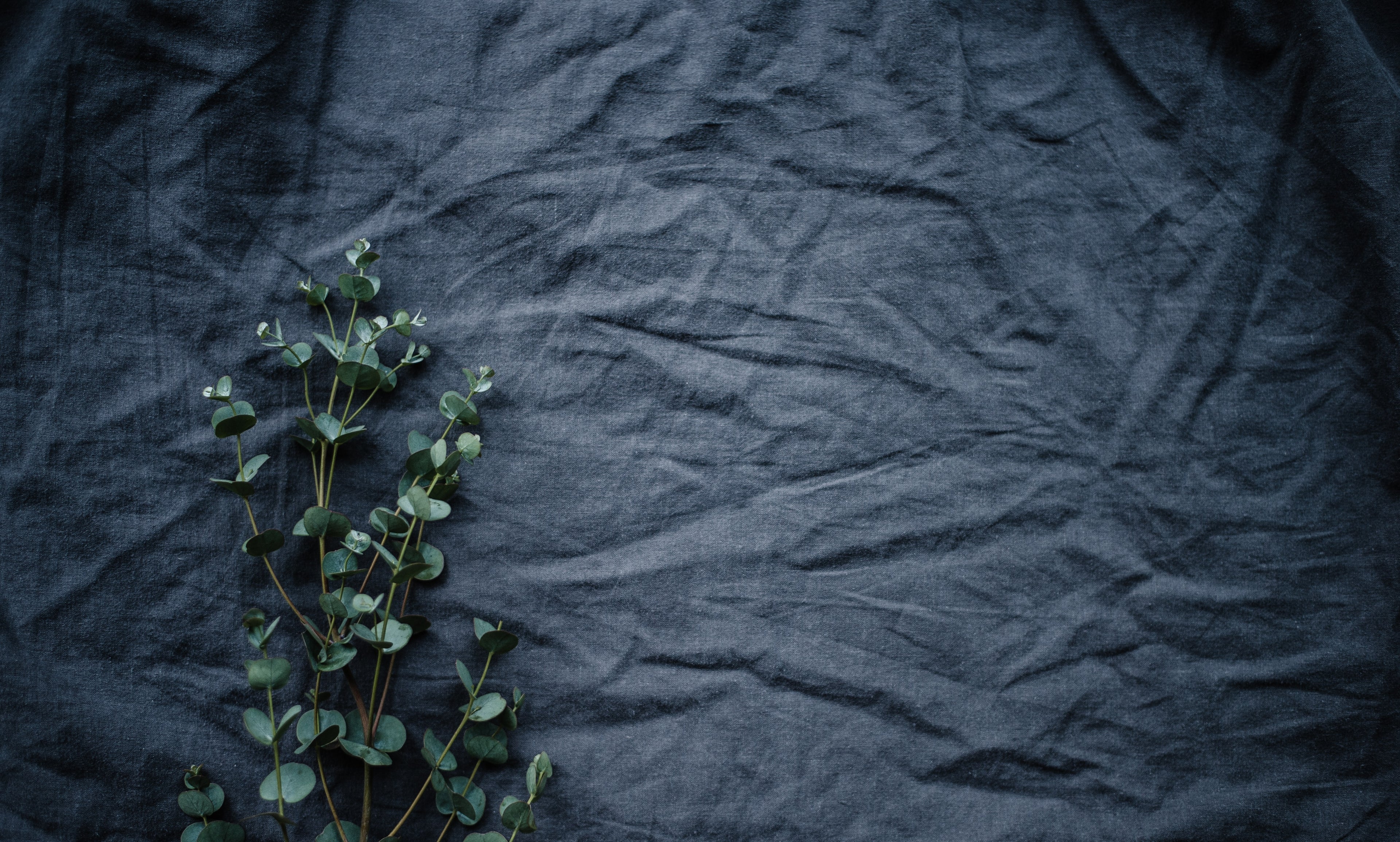 Pure Linen fabrics. Pure Linen colours. Solids. Pure Linen. European Flax. Linen Club.
